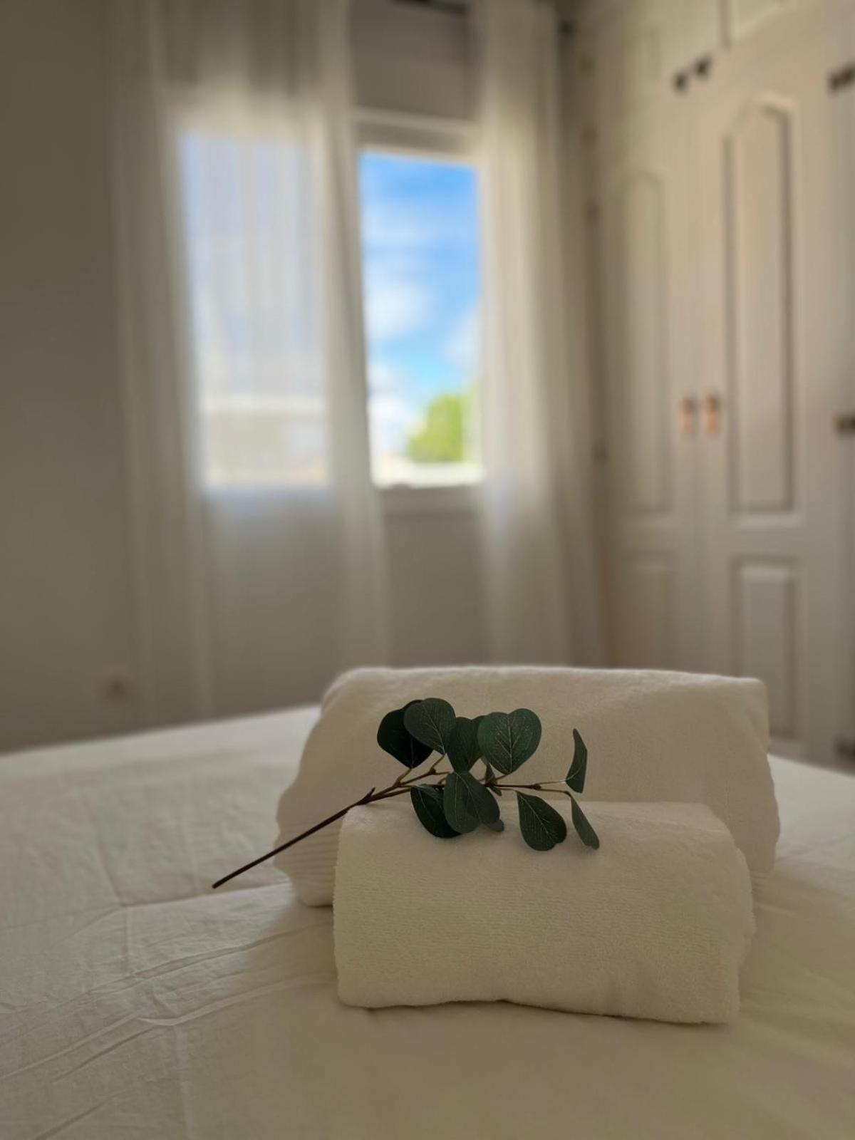 Malaga Prime Location - Stylish Apartment With Free Wifi, Free Parking, Steps From The Historic Center المظهر الخارجي الصورة