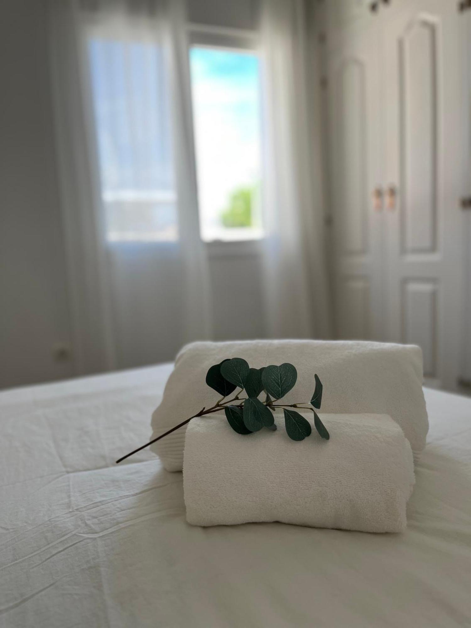 Malaga Prime Location - Stylish Apartment With Free Wifi, Free Parking, Steps From The Historic Center المظهر الخارجي الصورة